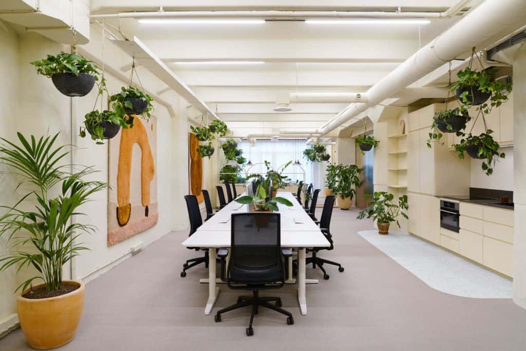 Top 50 mẫu thiết kế cây xanh trong văn phòng đẹp nhất